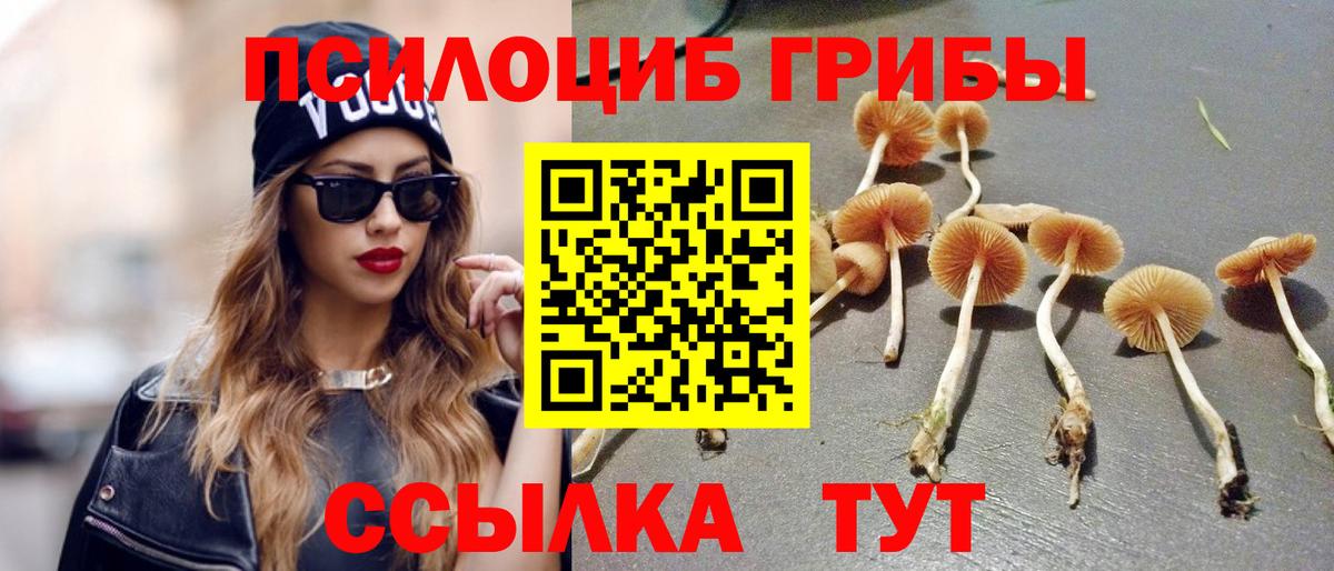 Псилоцибиновые грибы ЛСД  Вход с VPN  Кимры 