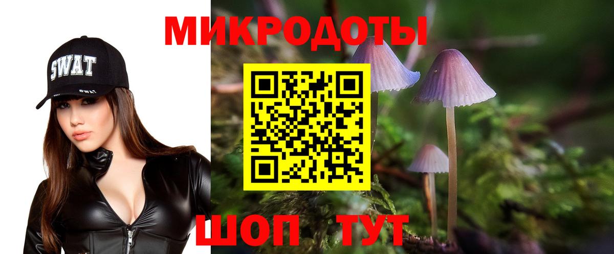Галлюциногенные грибы мицелий Кимры